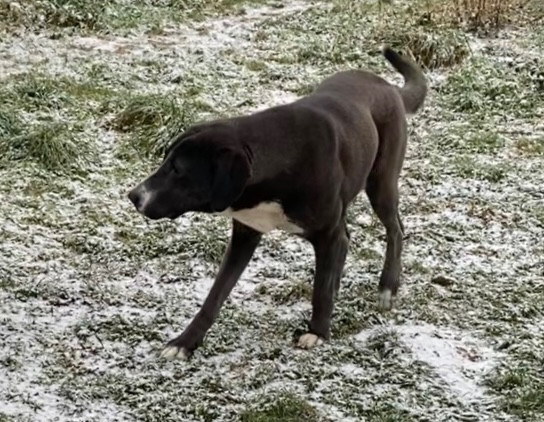 Vendetta Du Domaine De La Saulzie